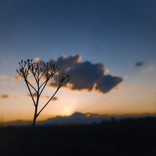 Photo #12163058