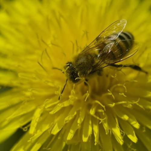 Photo #12163119
