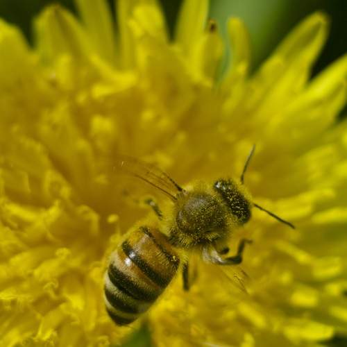 Photo #12163121