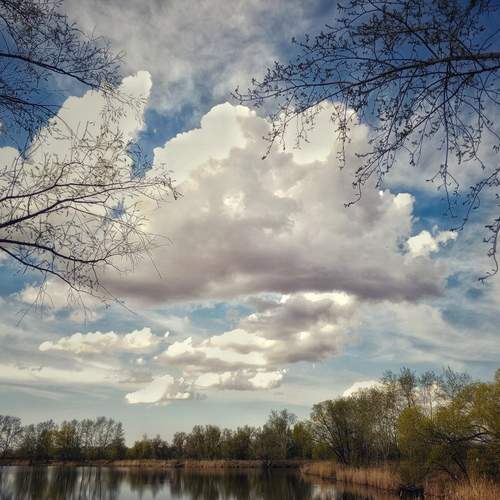 Photo #12163174