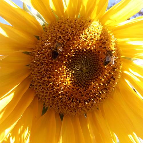 Photo #12163206