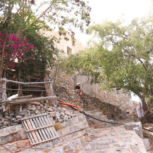 Photo #12163282