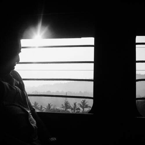 Photo #12163296
