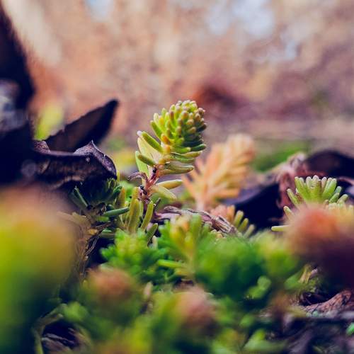 Photo #12163625