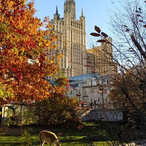 Будни зоопарка в мегаполисе