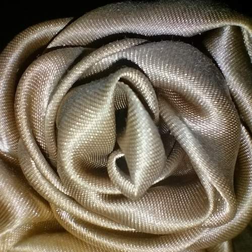 Photo #12165682