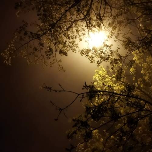 Photo #12165953