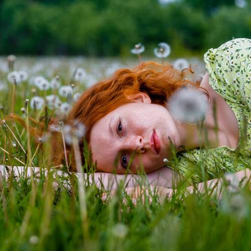 Photo #12166173