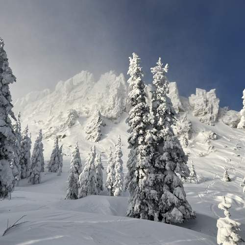 Photo #12166521