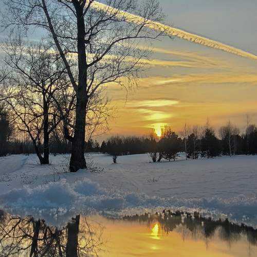 Photo #12166803