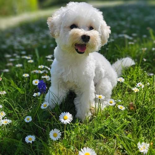 Photo #12167454