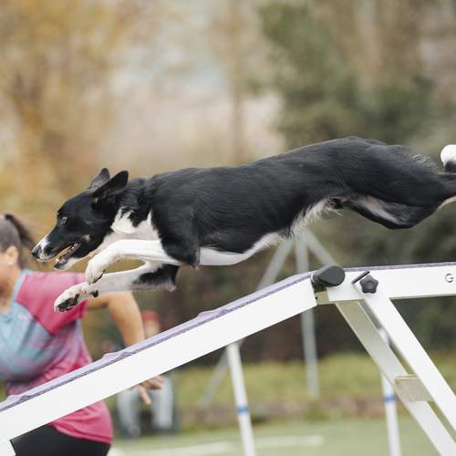 Photo #12169024