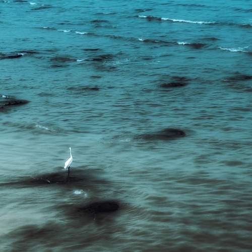 Photo #12169037