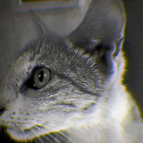 Photo #12169050