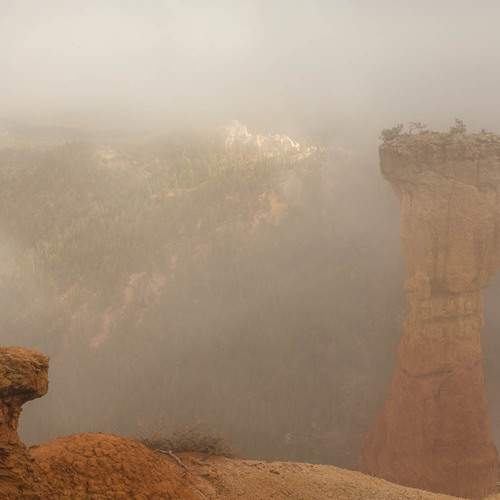 Photo #12169377