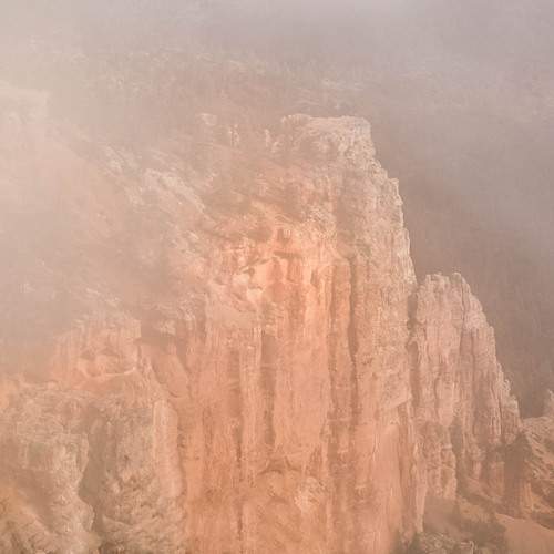 Photo #12169378