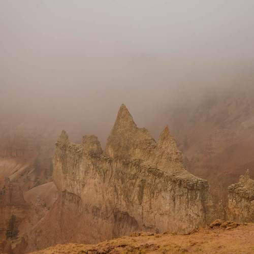 Photo #12169379