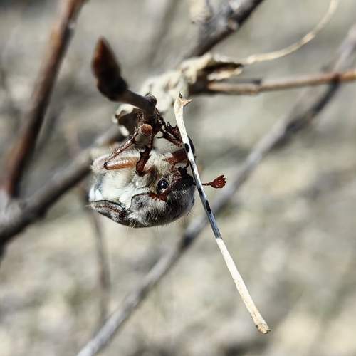 Photo #12169509