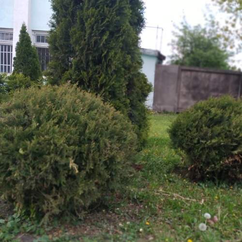 Photo #12169579