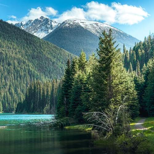 Photo #12171188