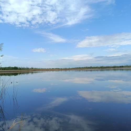 Photo #12171634