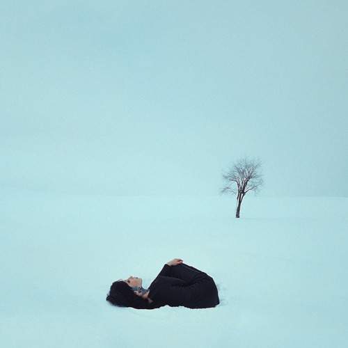 Photo #12171771
