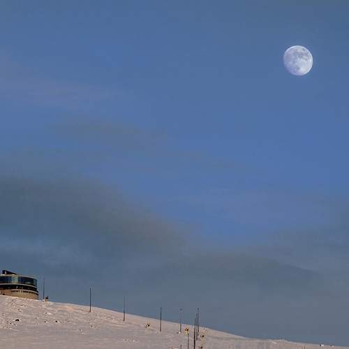Photo #12172005