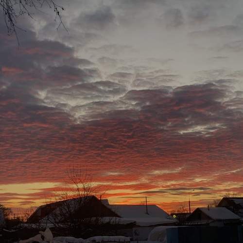 Photo #12172071