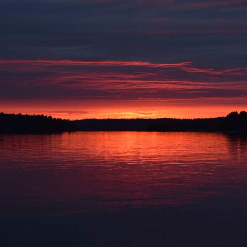 Photo #12172381