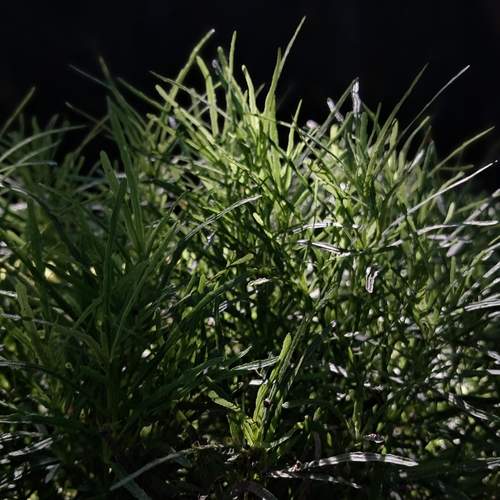 Photo #12172402