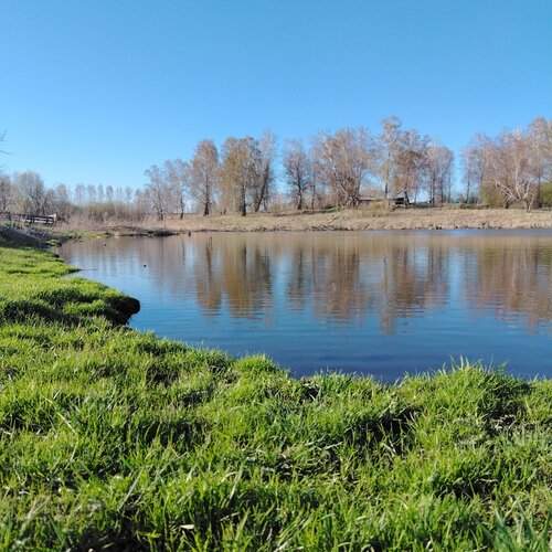 Photo #12172556
