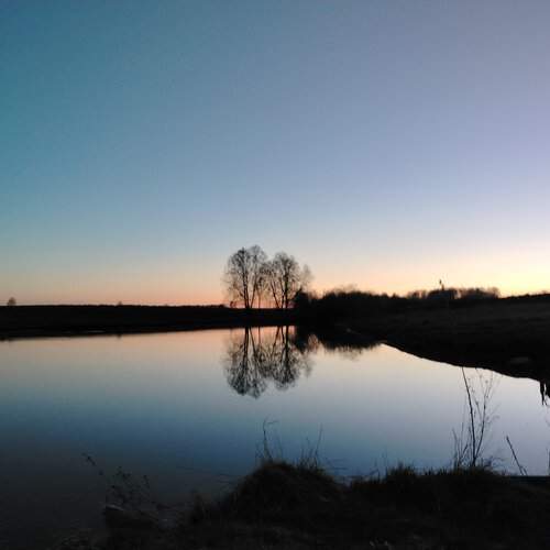 Photo #12172557
