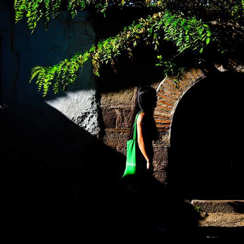 Photo #12172934