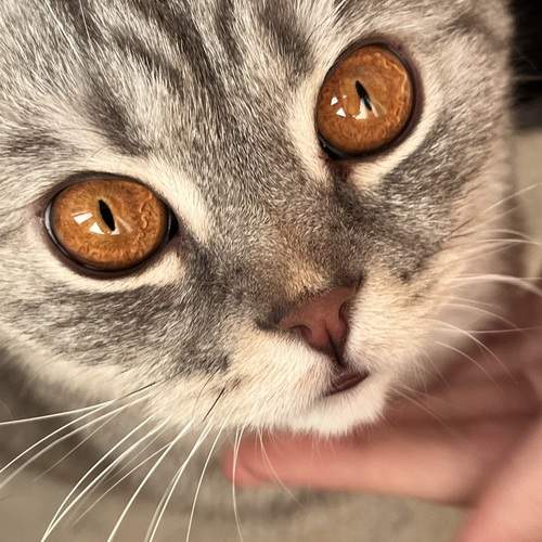 Photo #12173153