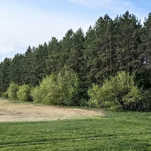 Photo #12173174