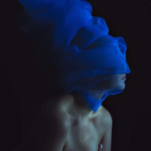 Photo #12173227