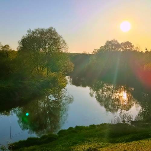 Photo #12173638