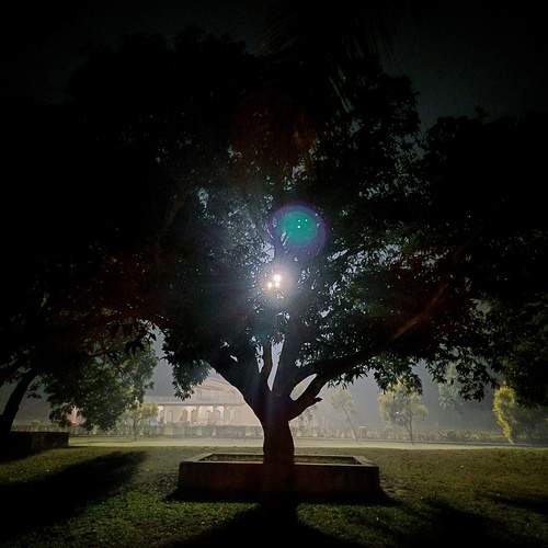Photo #12173716