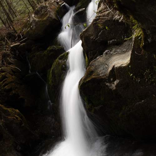 Photo #12173931