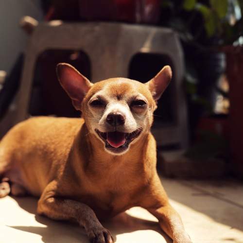 Photo #12174061