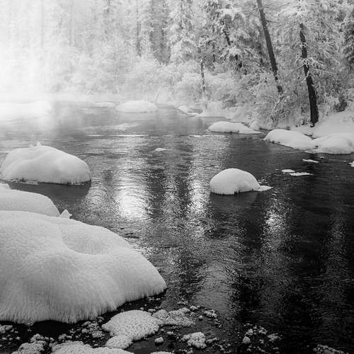Photo #12174165