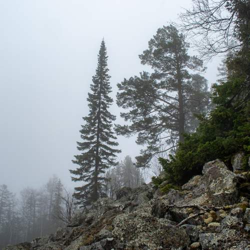 Photo #12174262