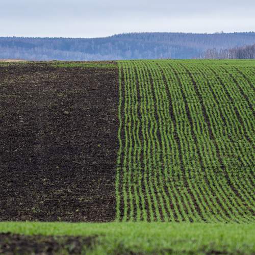 Photo #12174365