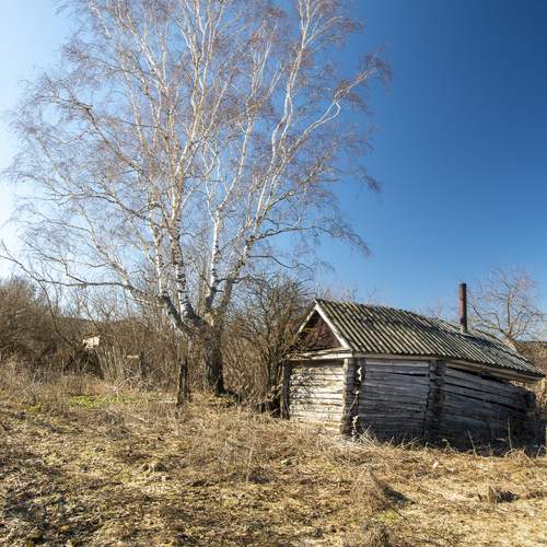 Photo #12174377