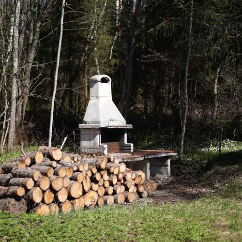 Photo #12174406
