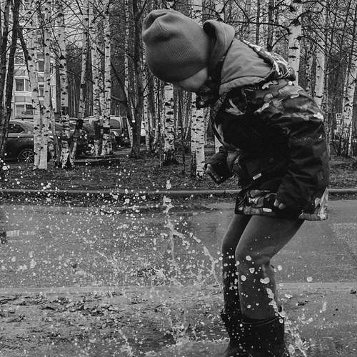 Photo #12175122