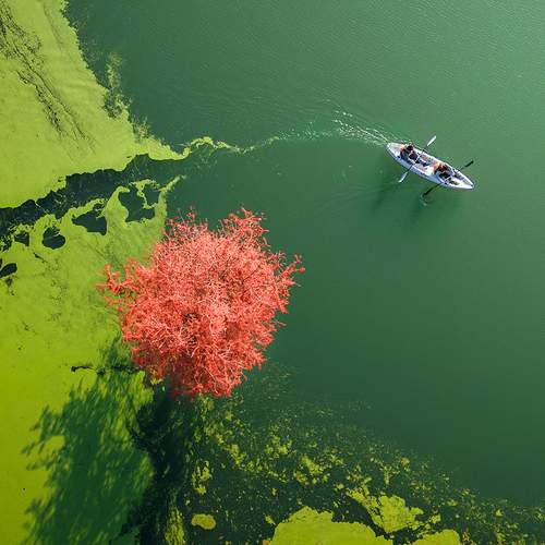 Photo #12176506