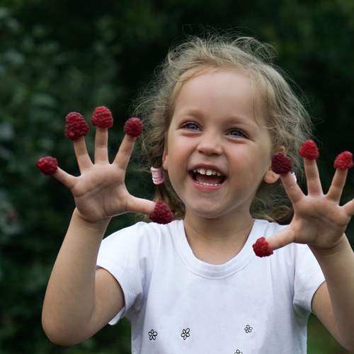 Photo #12176638