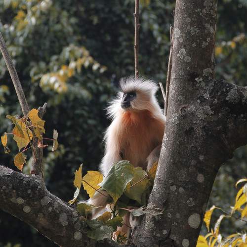 Photo #12178104
