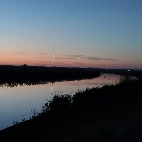 Photo #12178153